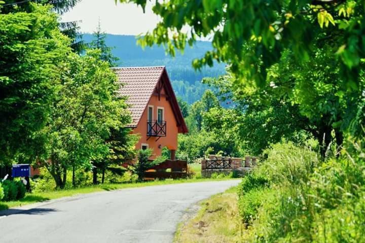 Вилла Wydrza-Przystan Mirsk Экстерьер фото